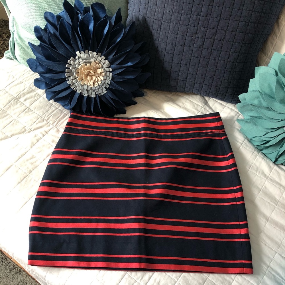 J Crew Skirt